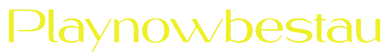 Playnowbestau Logo